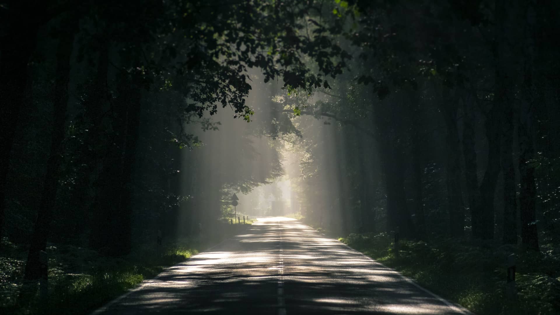 The Easiest Online Transport Booking Software