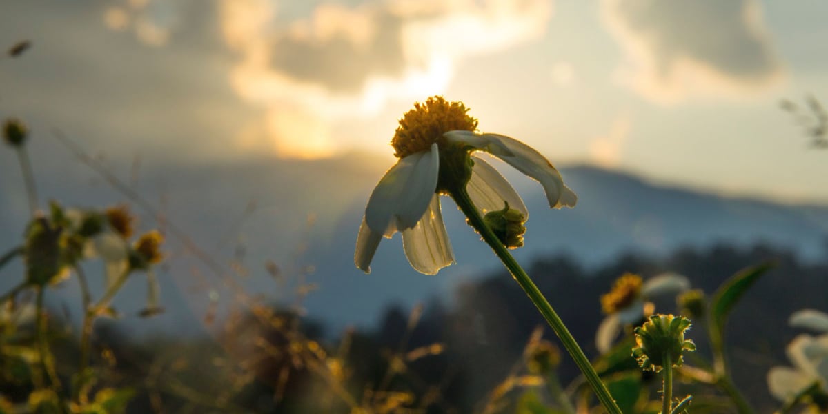 Tackling Rural Isolation