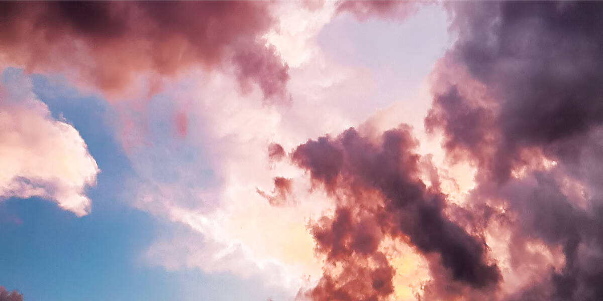 Why Use Transport Software Online?