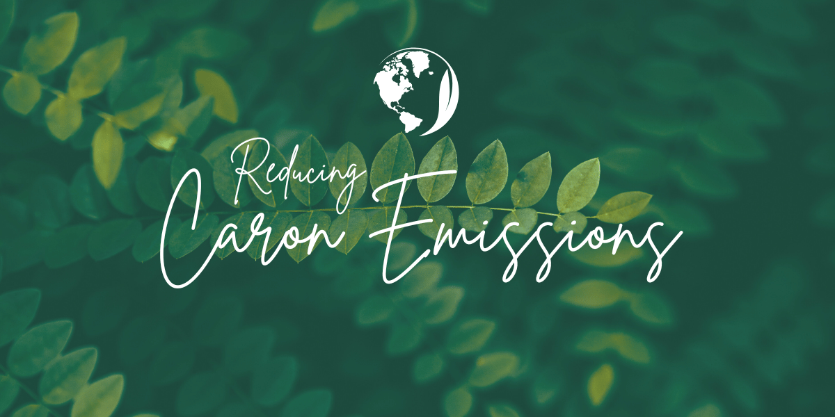 Driving Towards a Greener Tomorrow: The Role of Sustainable Transport